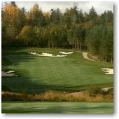Summer Golf Leagues Team Golf Leagues